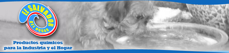 El Salvador del Hogar - Fabricante y mayorista de productos de limpieza para el hogar.